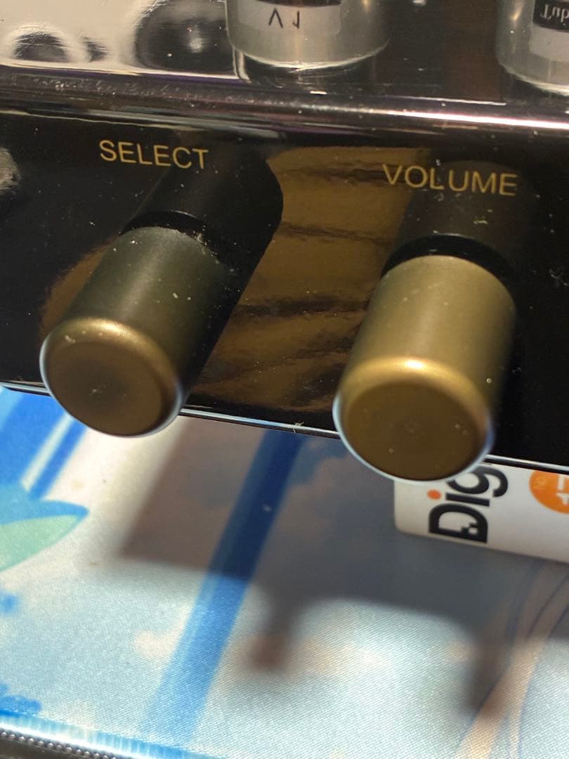 chorale製FU-7⇔807互換 真空管シングルアンプ