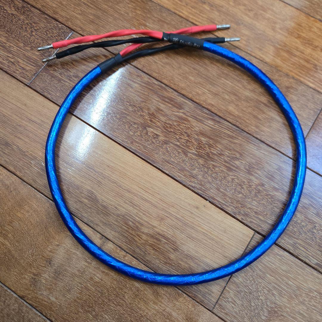 Zonotone 6NSP-Granster 5500α R31 Studio製