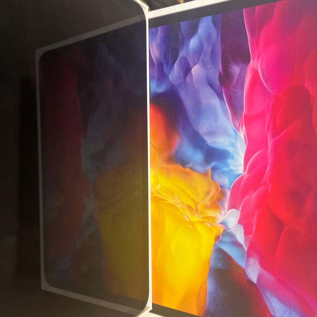 iPad Pro 1TB 大容量 第二世代