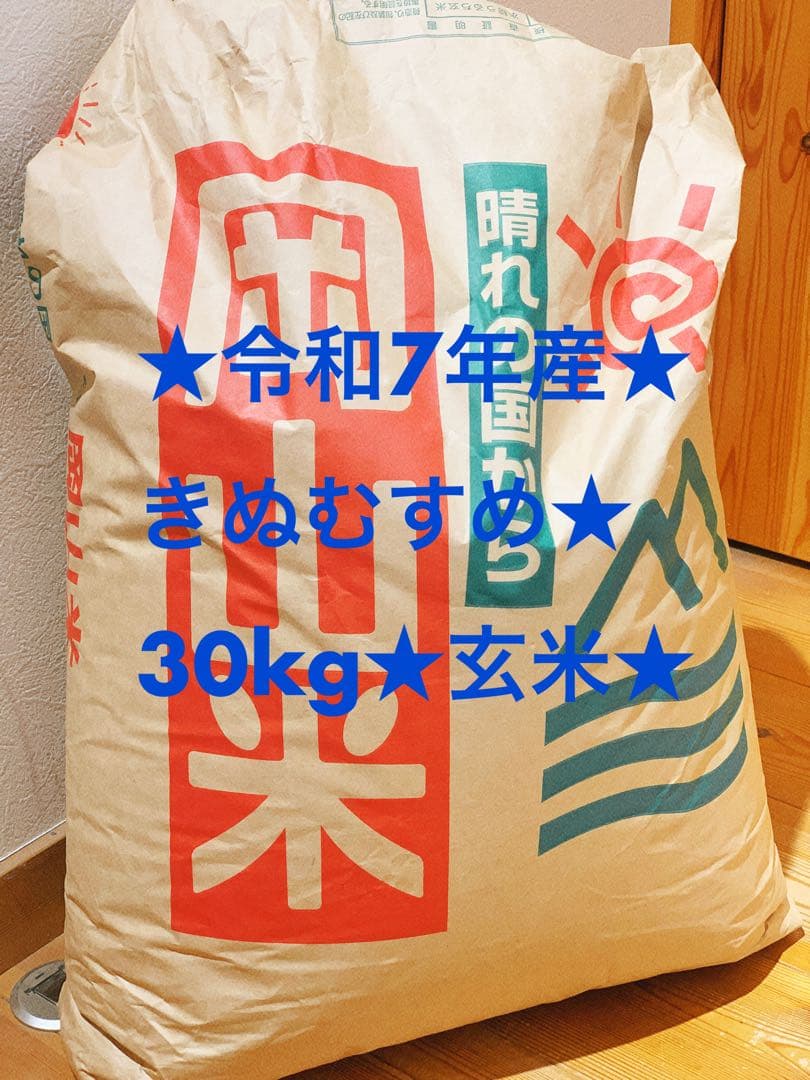 農家直送★きぬむすめ 玄米 30kg 令和7年産
