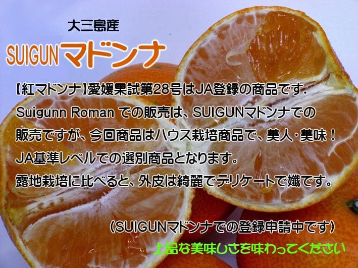 【Ｋ】M玉SUIGUNマドンナ10Kg　　【5Kg×２箱縛りでの発送】