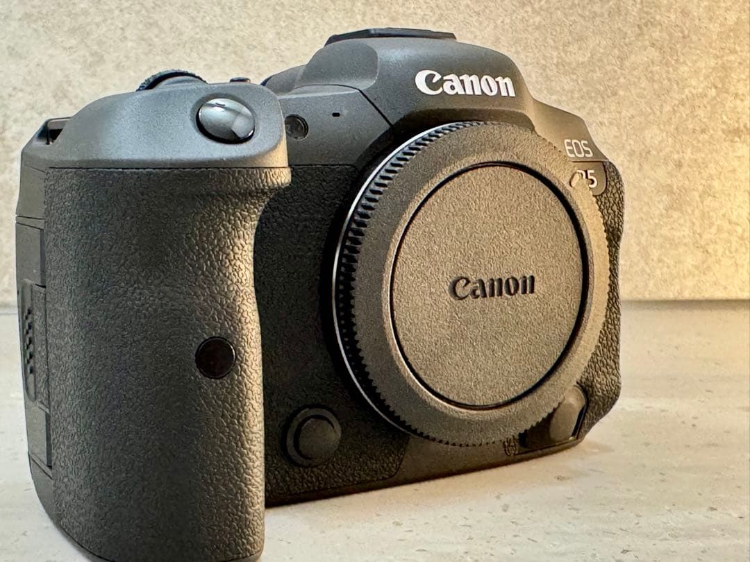 【極美品】Canon EOS R5 本体と付属品 シャッター回数2815回