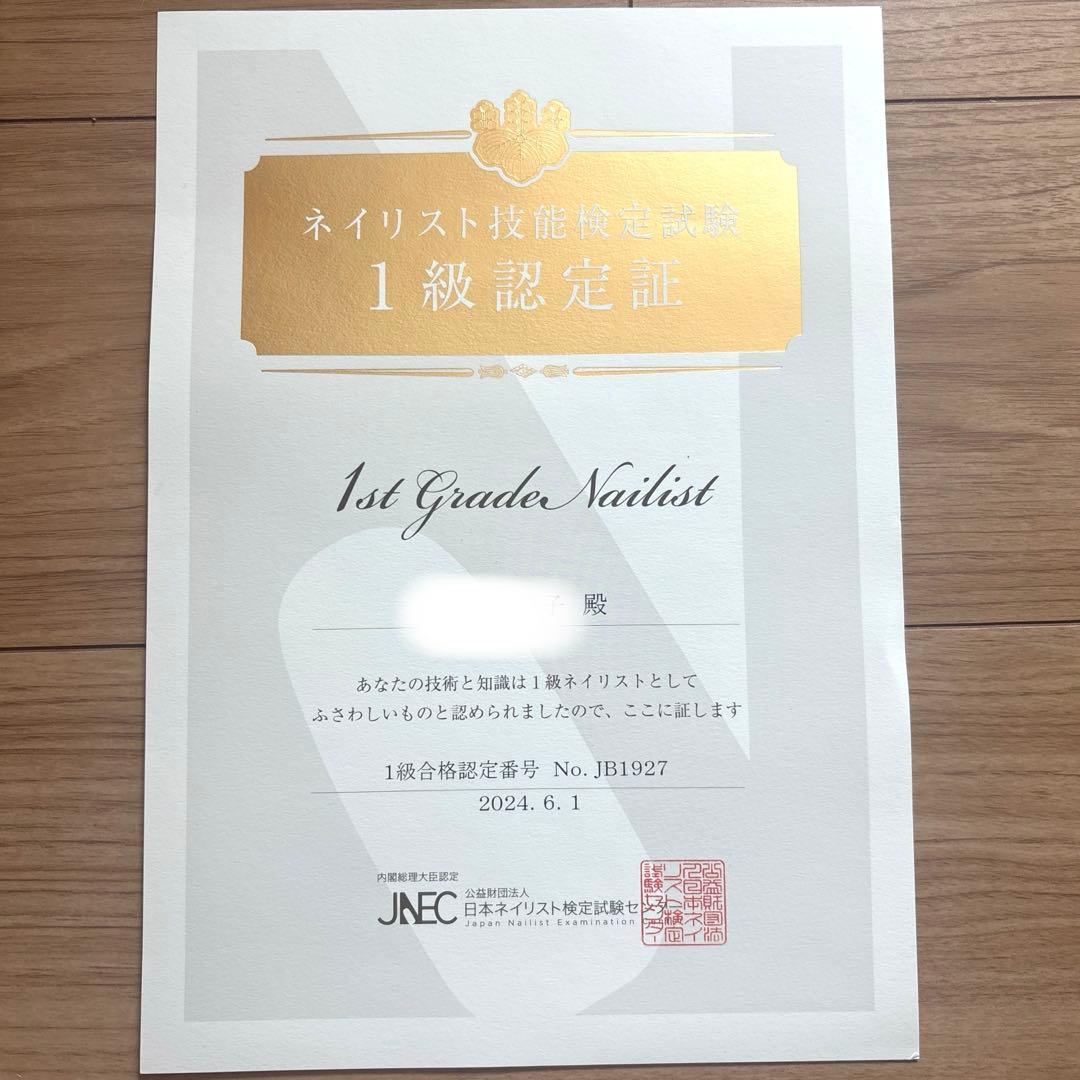 【美品】JNEC認定モデルハンド　1級合格チップ付き