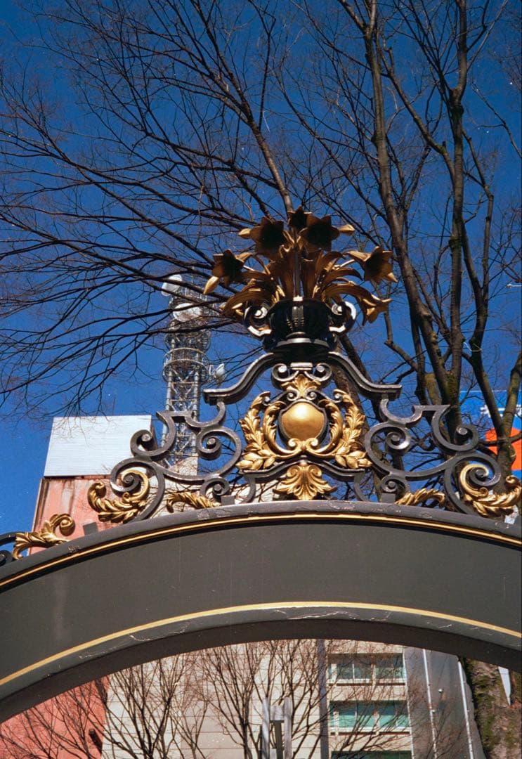 OLYMPUS 35 DC 整備、テスト撮影済　253103