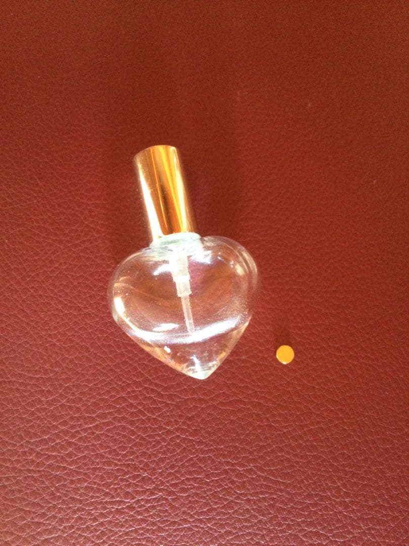 ゼロ磁場発生装置 テラファイトアース ＋ゴールドチップ(非売品)