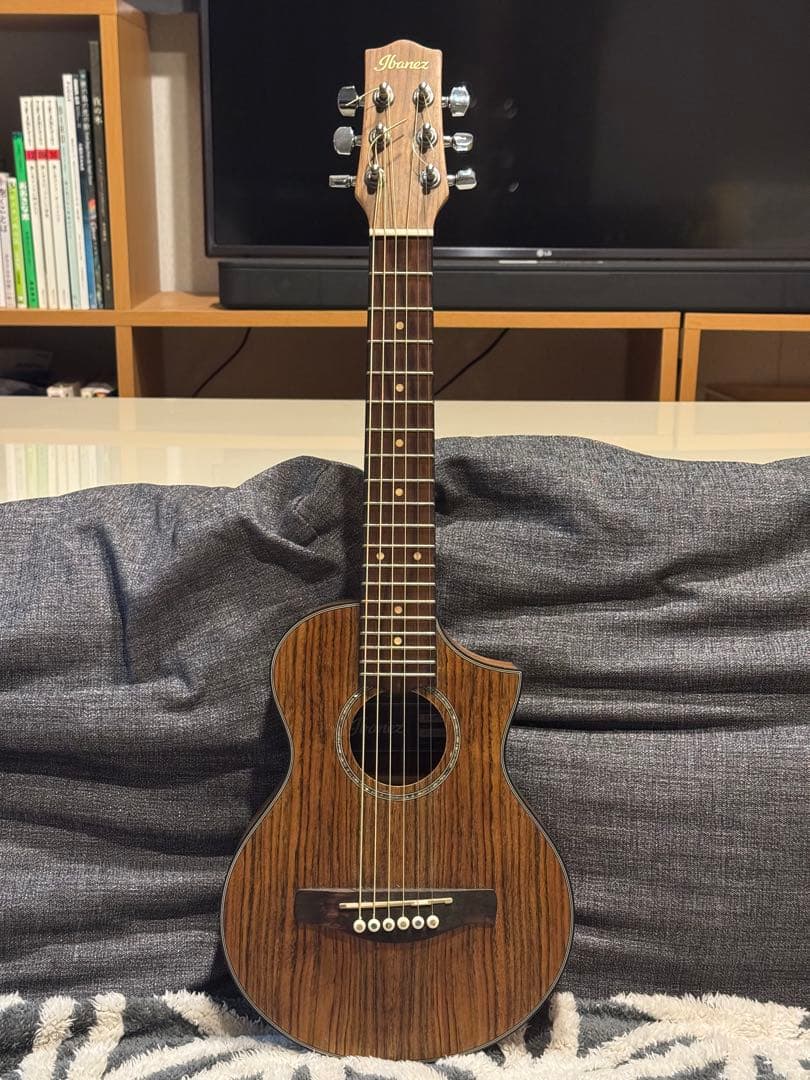 IBANEZ EWP14WB-OPN アコースティックギター