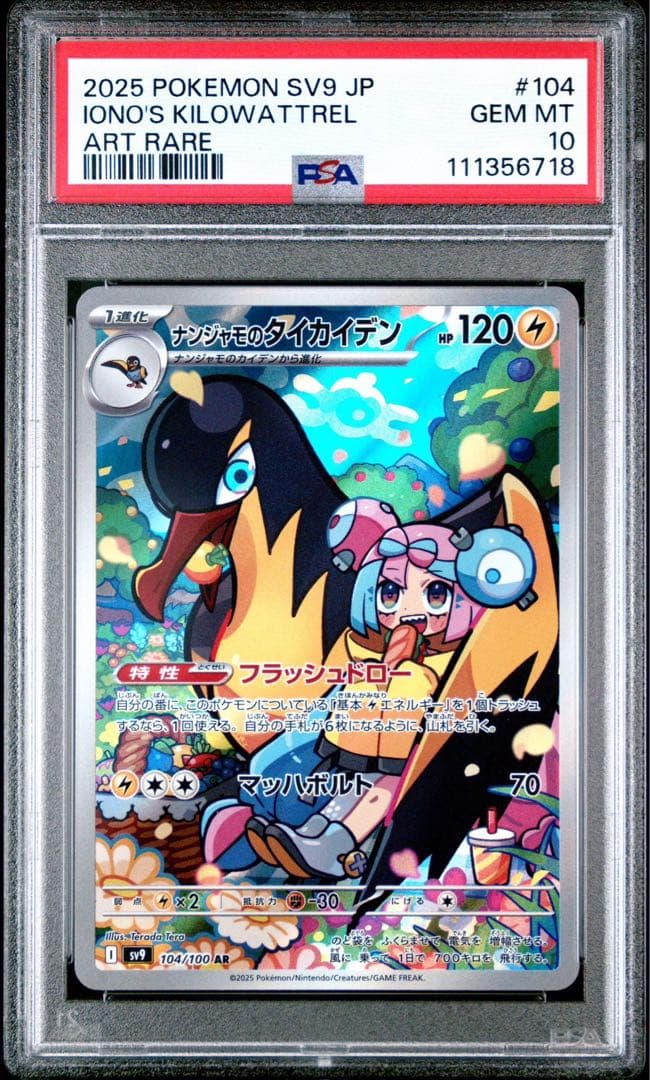 ナンジャモノのカイデン　ナンジャモノのタイカイデンPSA10 連番　最安値