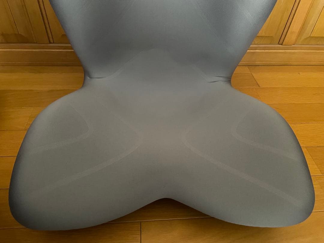 ★超美品★MTG Style PREMIUM スタイルプレミアム 姿勢矯正