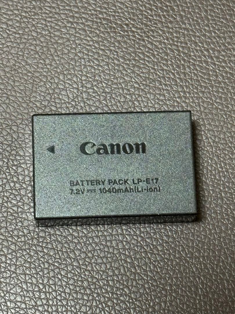 Canon EOS 9000D レンズ2本セット（中古・美品）