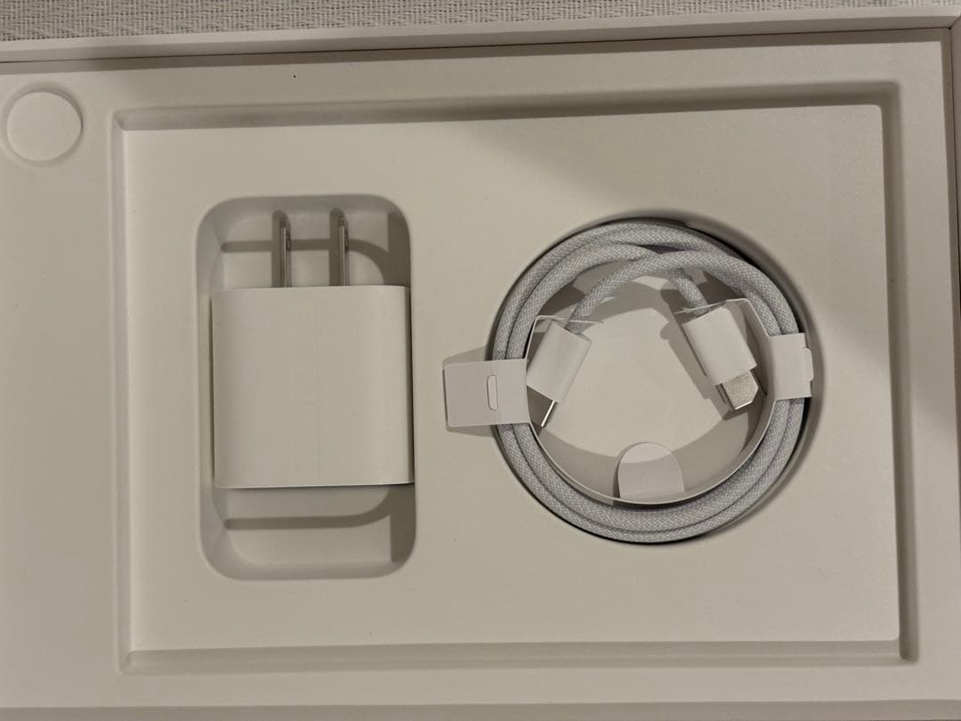 【キノシタ】Apple iPad mini A17 Pro 256GB