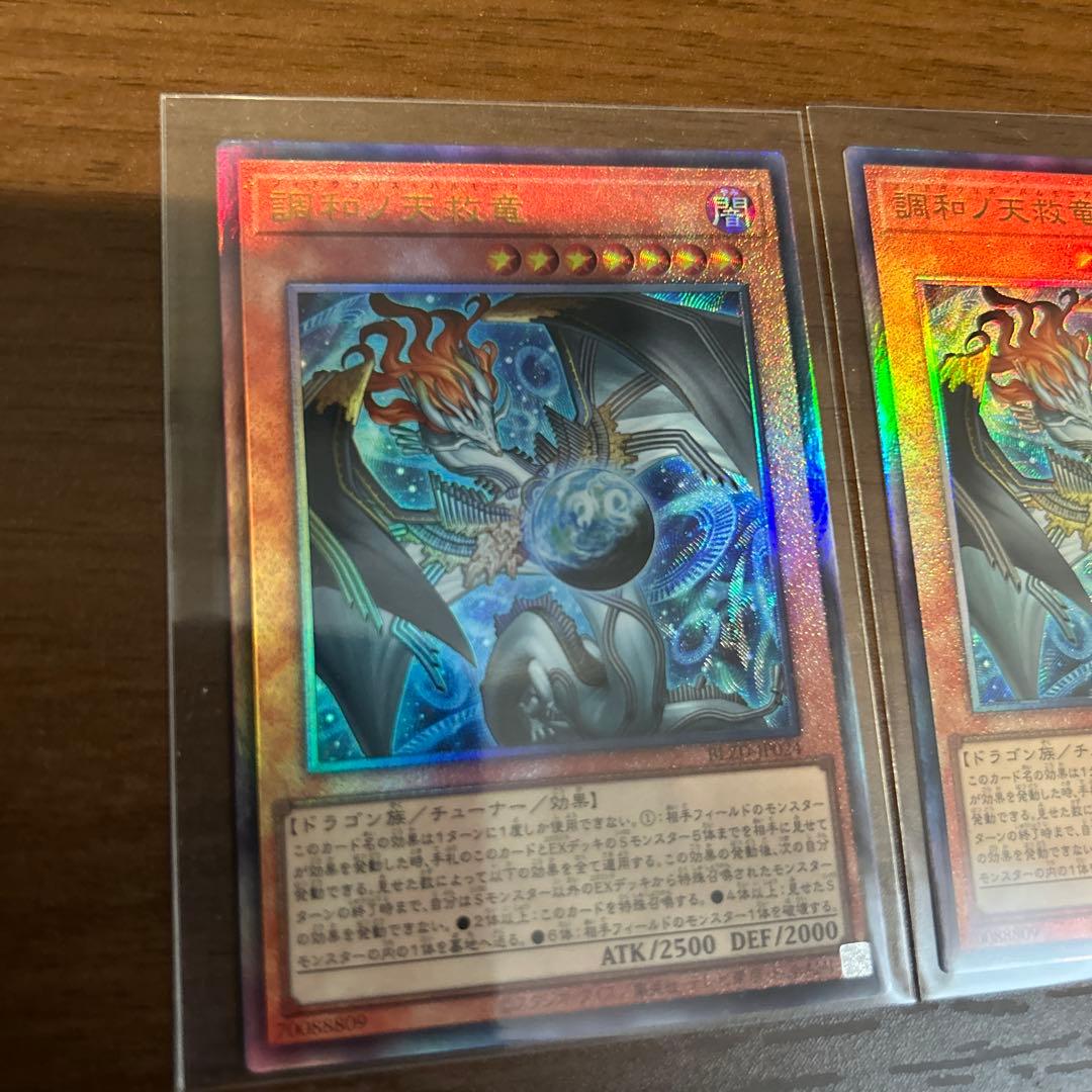 調和ノ天救竜　レリーフ2枚