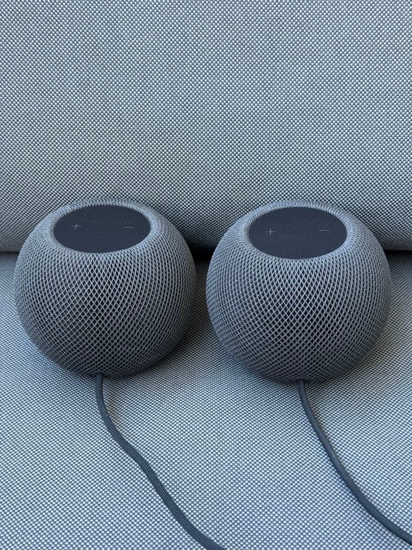 Apple Pod mini 2個セット（黒）