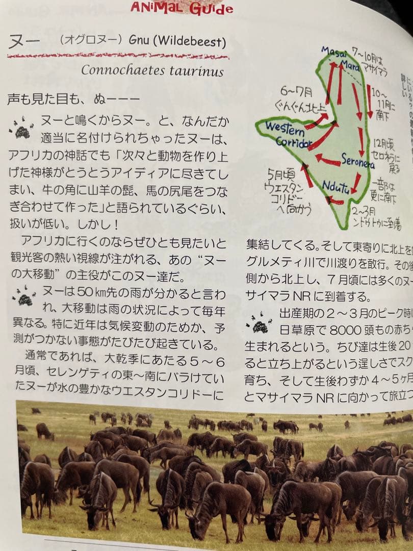 ケニア・タンザニア旅ガイド まるまるサファリの本 ver.3(発行:サワ企画)