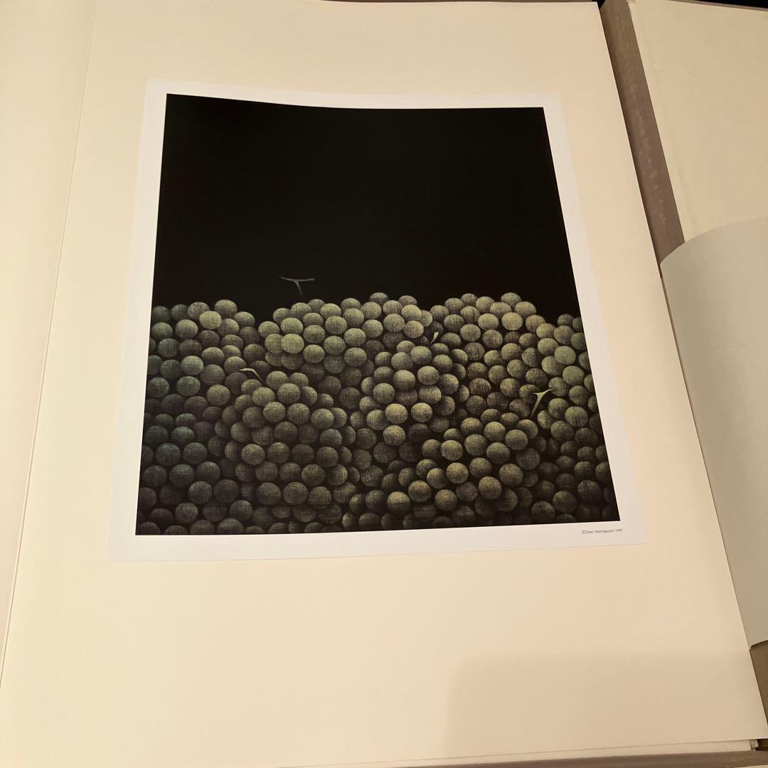 浜口陽三 銅版画 画集