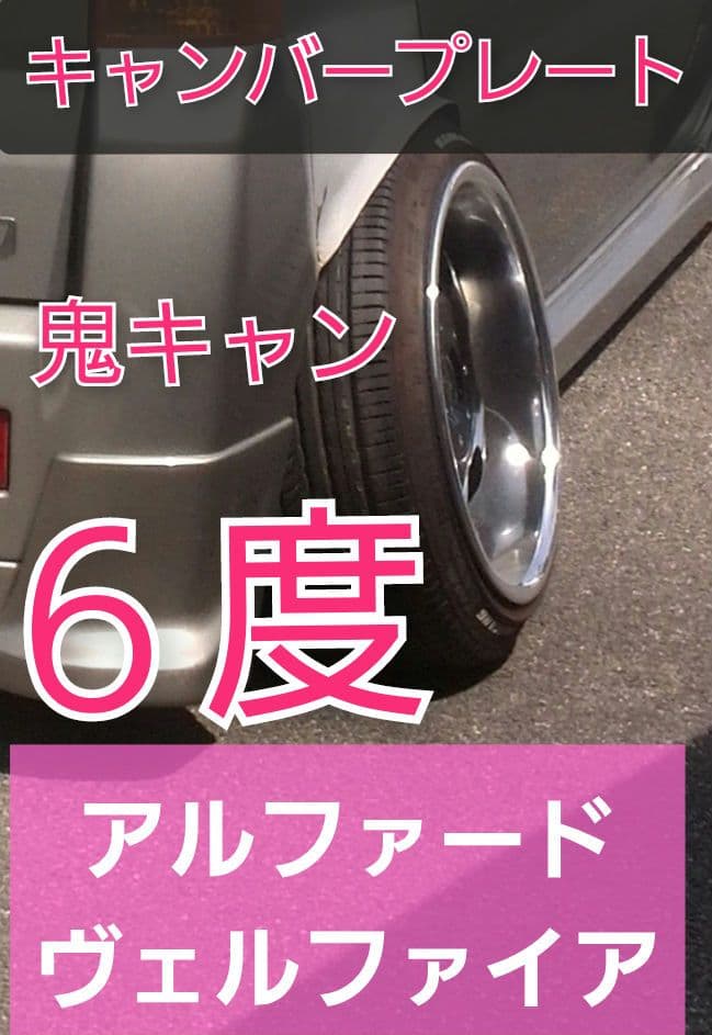 20系　アルファード　ヴェルファイア　エスティマ　リアキャンバープレート　6度