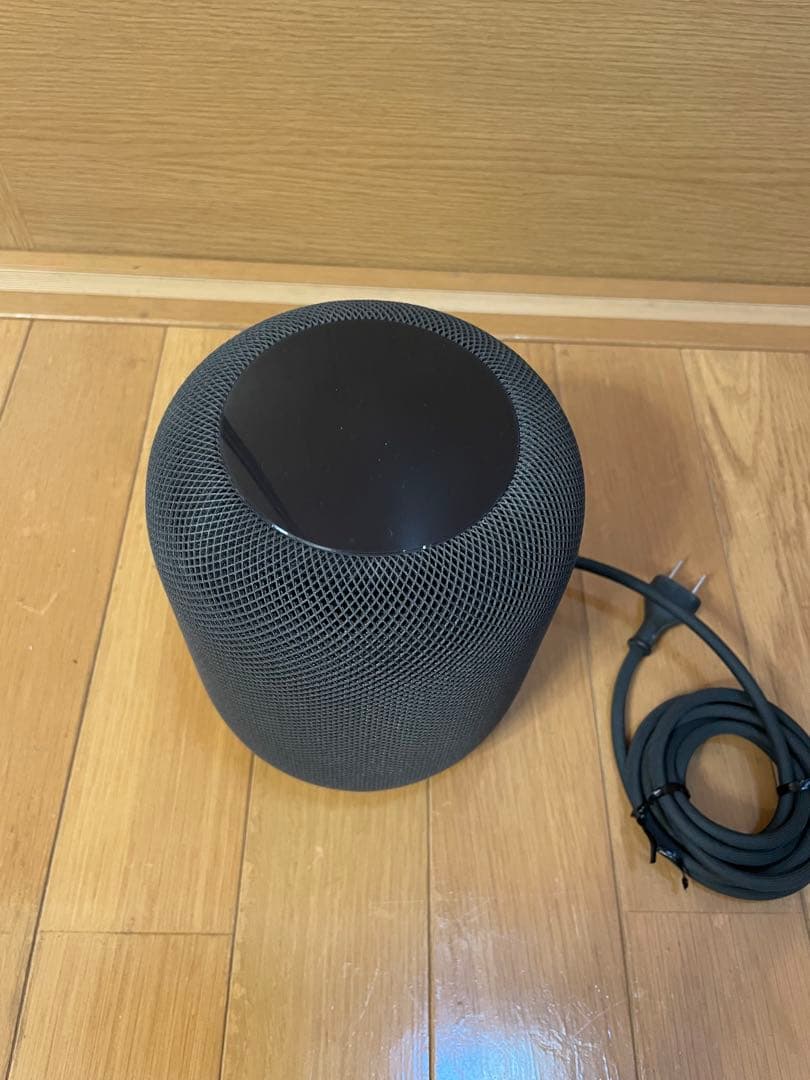 Apple Pod (第1世代) ※ジャンク品※