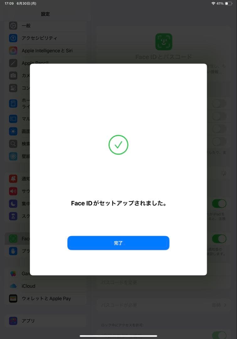 【美品】iPad Pro 11インチ　第3世代　Wi-Fiモデル256GB