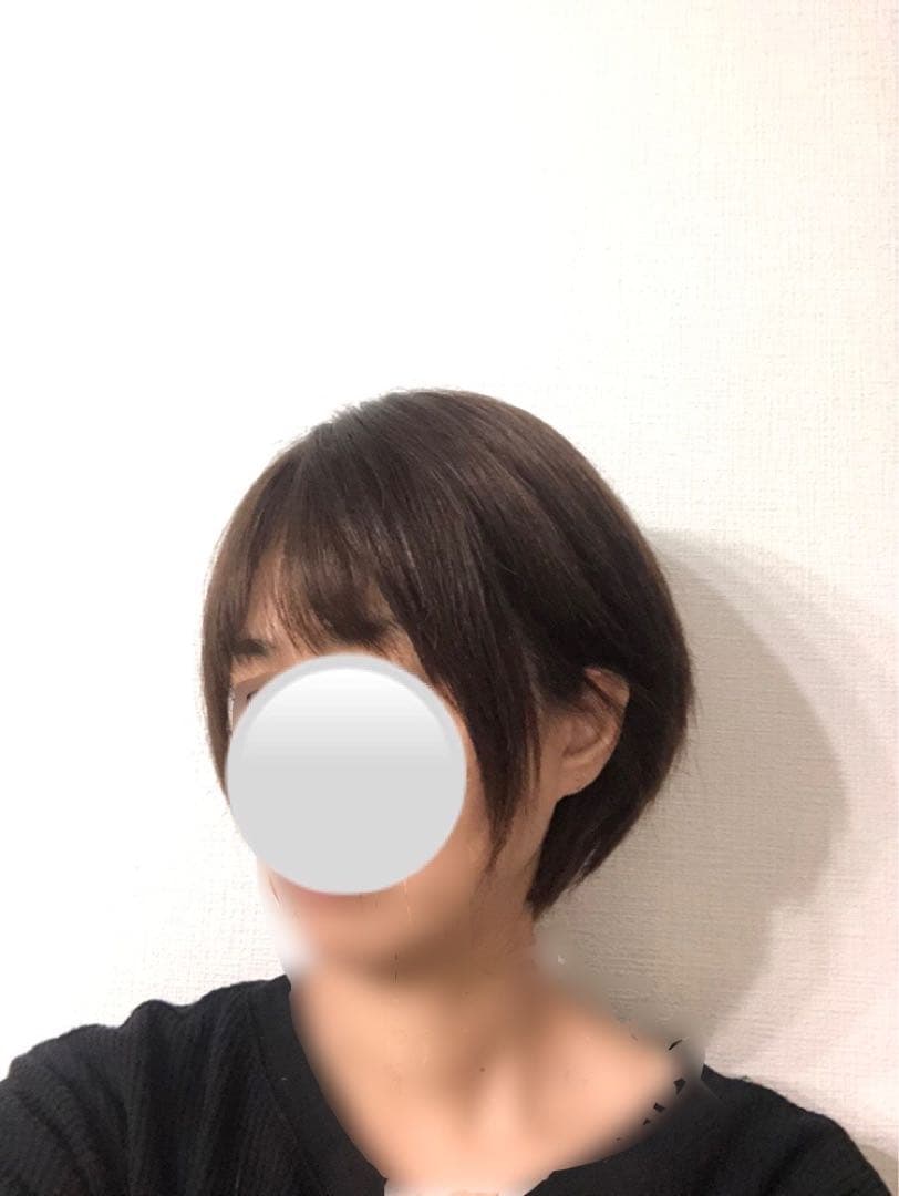 人毛ショート　ブラウン　未使用