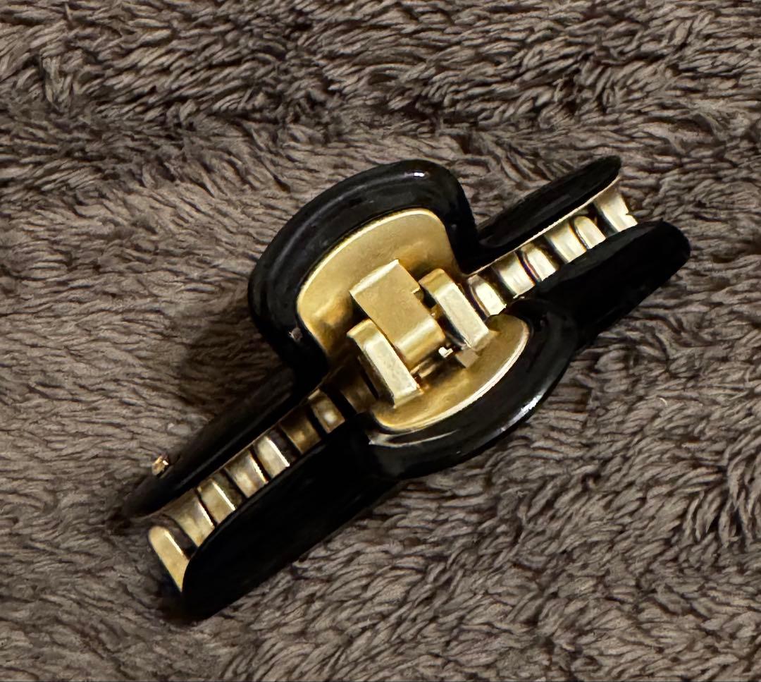 ALEXANDRE DE PARIS ヴァンドーム Lクリップ ブラック