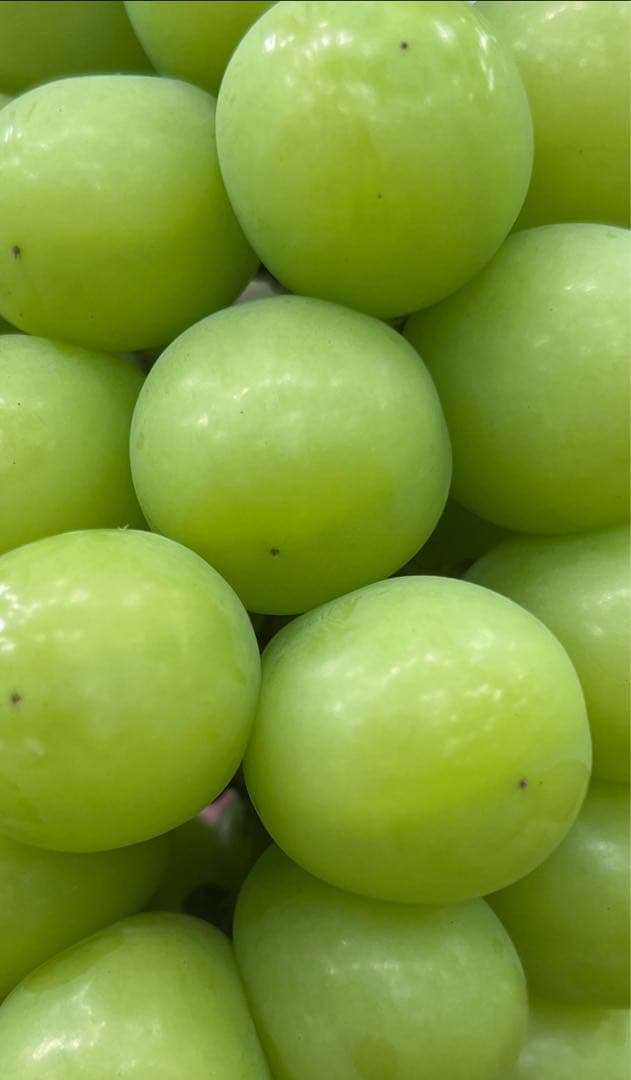 ブタうさぎさん専用③