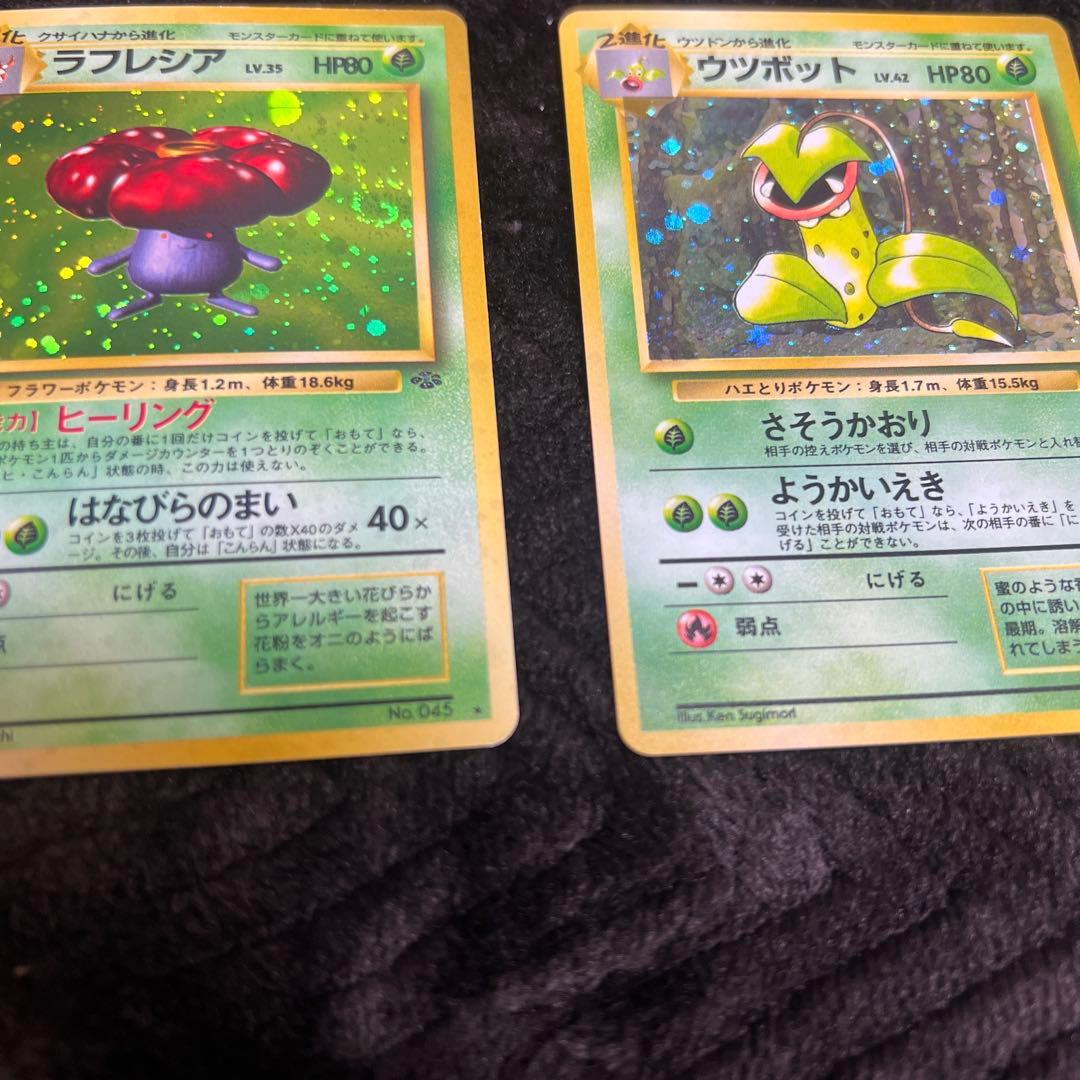 【良品〇】ポケカ　Pokéca 旧裏　ポケモンカード　草タイプ　まとめ