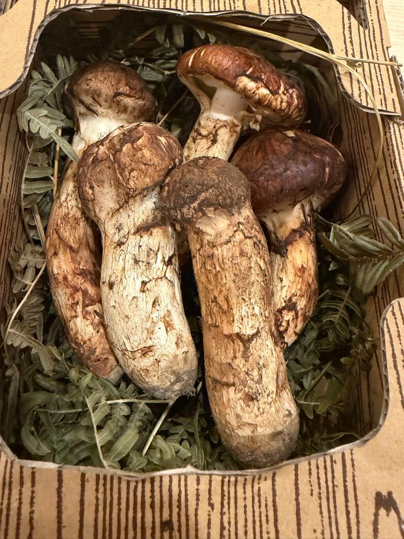 国産　信州　松茸　200グラム