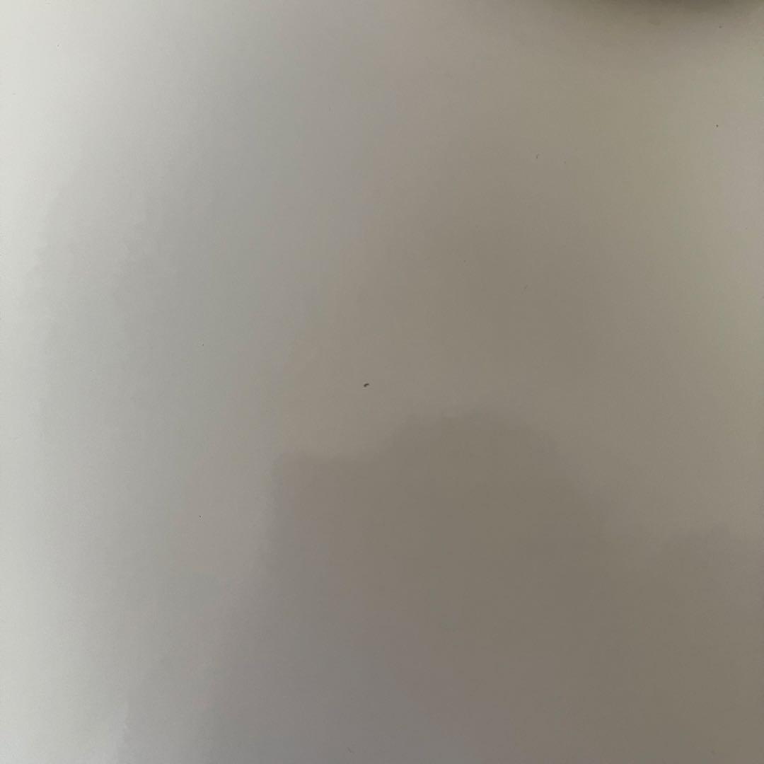 デンマーク製 ペンダントランプ talo