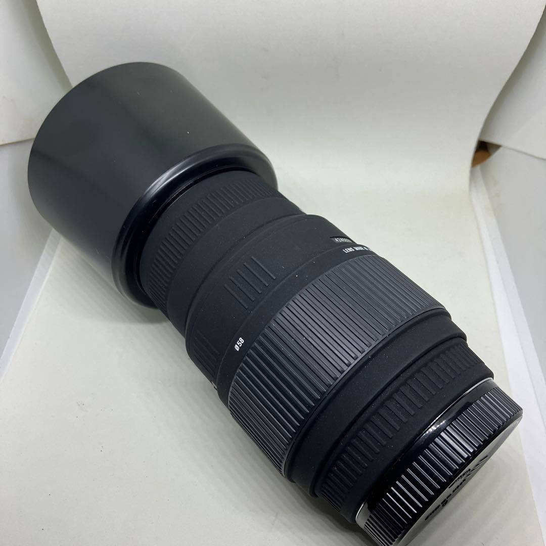 SIGMA 70-300mm F4-5.6 DG SONY用になります。