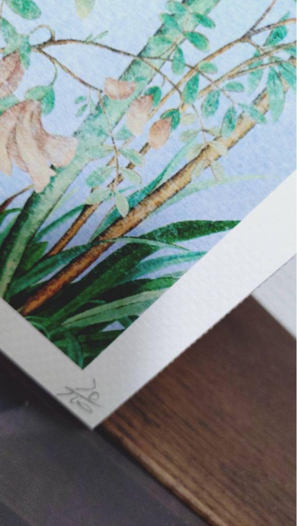 HelloKitty キティちゃん ポスター