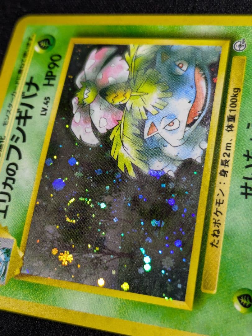 【状態：B（良品）】　エリカのフシギバナ　渦ホロ　旧裏　【商品連番：1101】