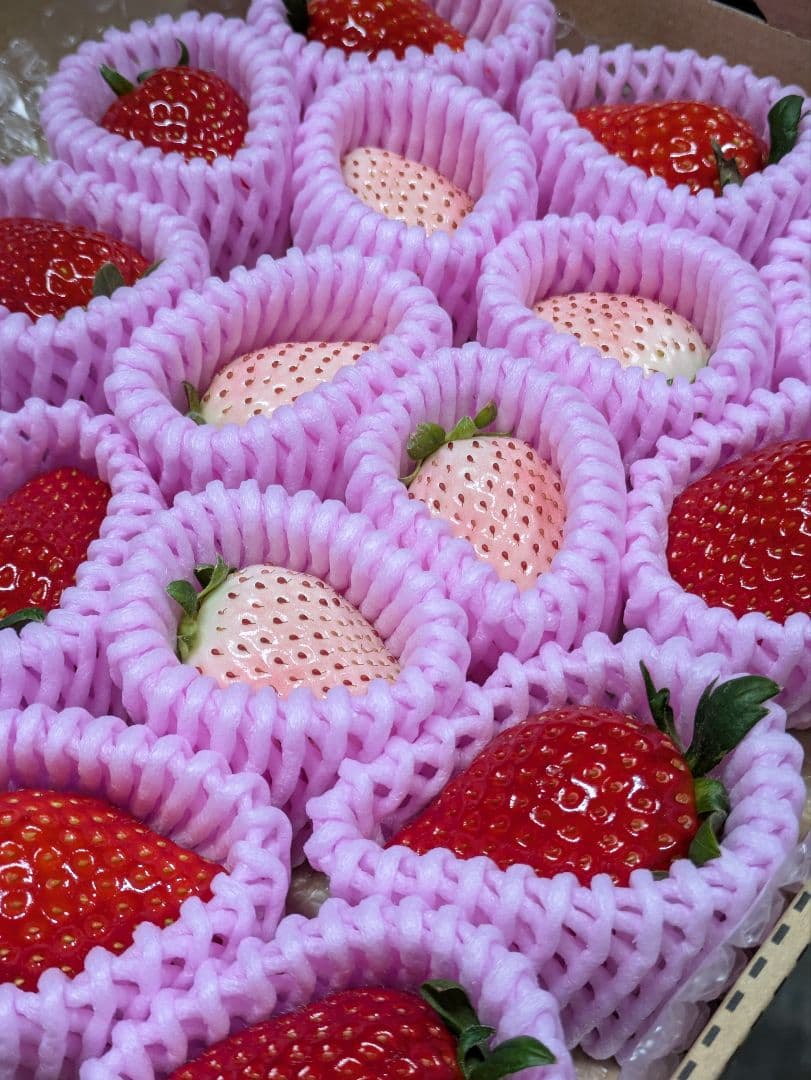 める♡紅白苺１箱♡赤苺３箱♡