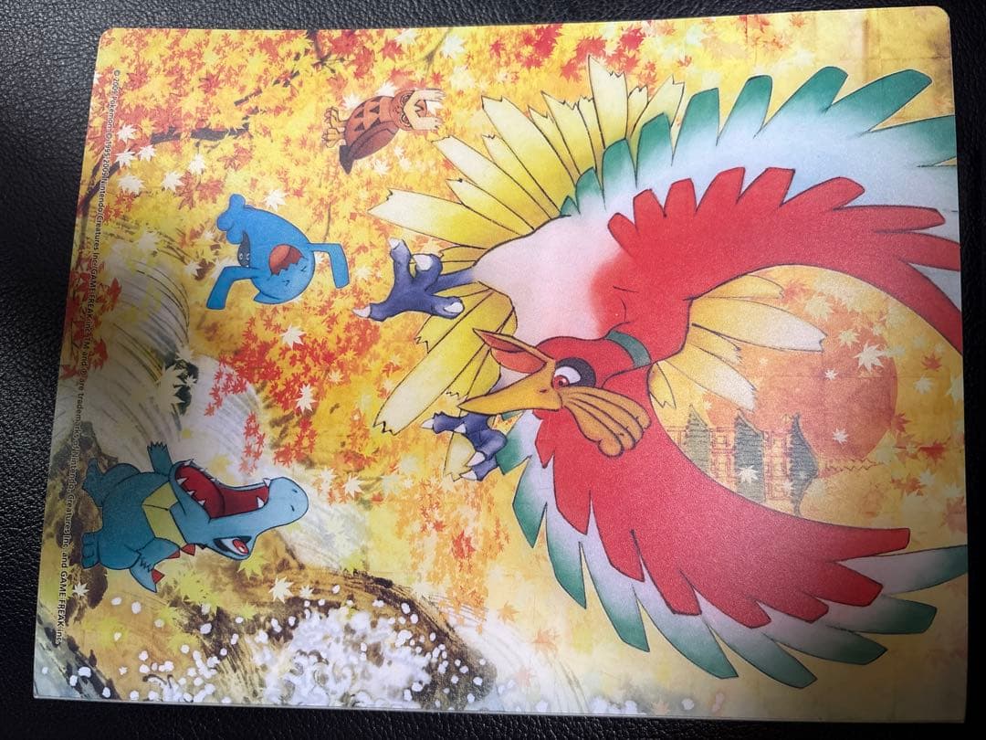 d*9様 ポケモンカード　まとめ売り！　ブラッキー　ホウオウルギアケース　限定