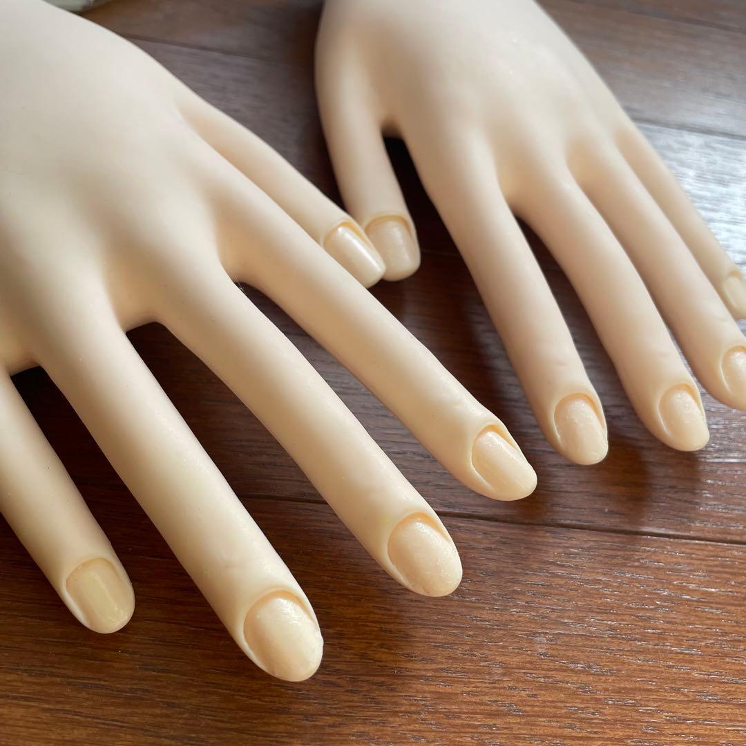 STモデルハンド ネイリスト検定 JNEC認定 モデルハンド 認定チップ付き