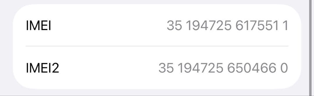 Apple iPhone 15 本体