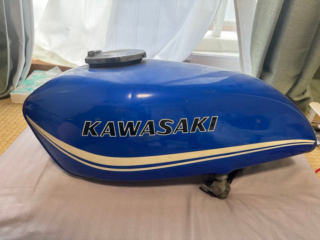 シーザーくん　…