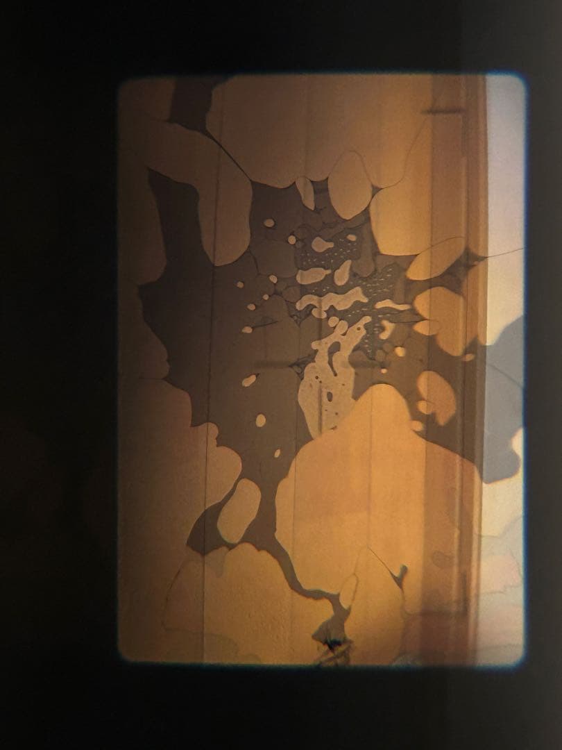 OLYMPUS μ[mju:]-II コンパクトカメラ