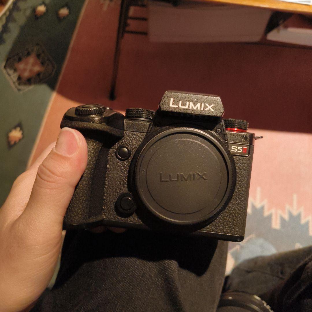 LUMIX S5Ⅱ ボディ美品 純正バッテリー