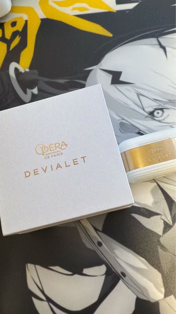 限界最終値下げGemini II Opera de Paris