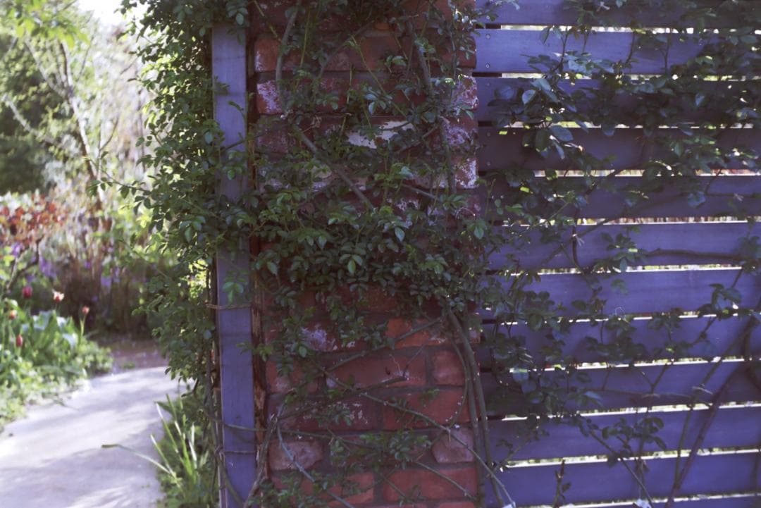 実写確認済！IHAGEE Exa 一眼レフ オールドカメラ 世界初一眼レフ