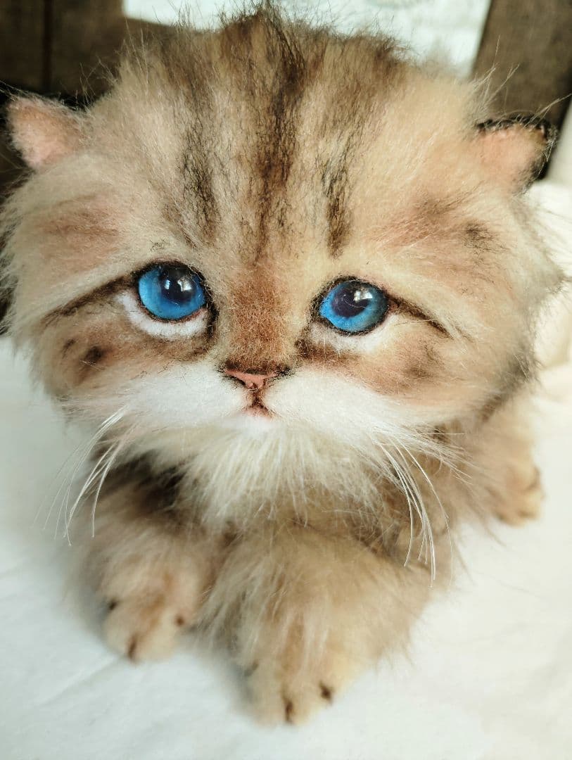 短足よちよちあんよ♡ミヌエット子猫ちゃん♡アートドール♡ぬいぐるみ♡