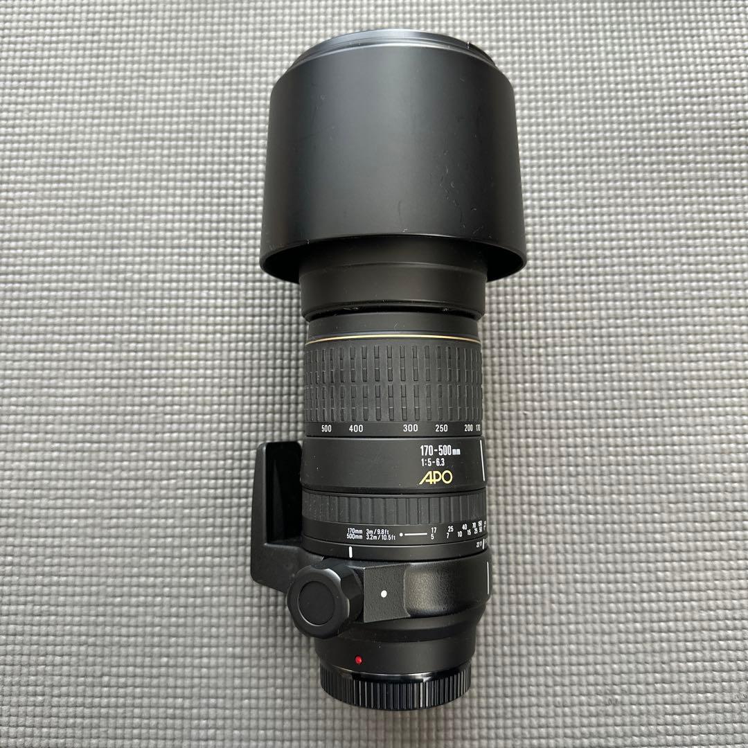 レンズ(ズーム) SIGMA 170-500mm F5-6.3 APO