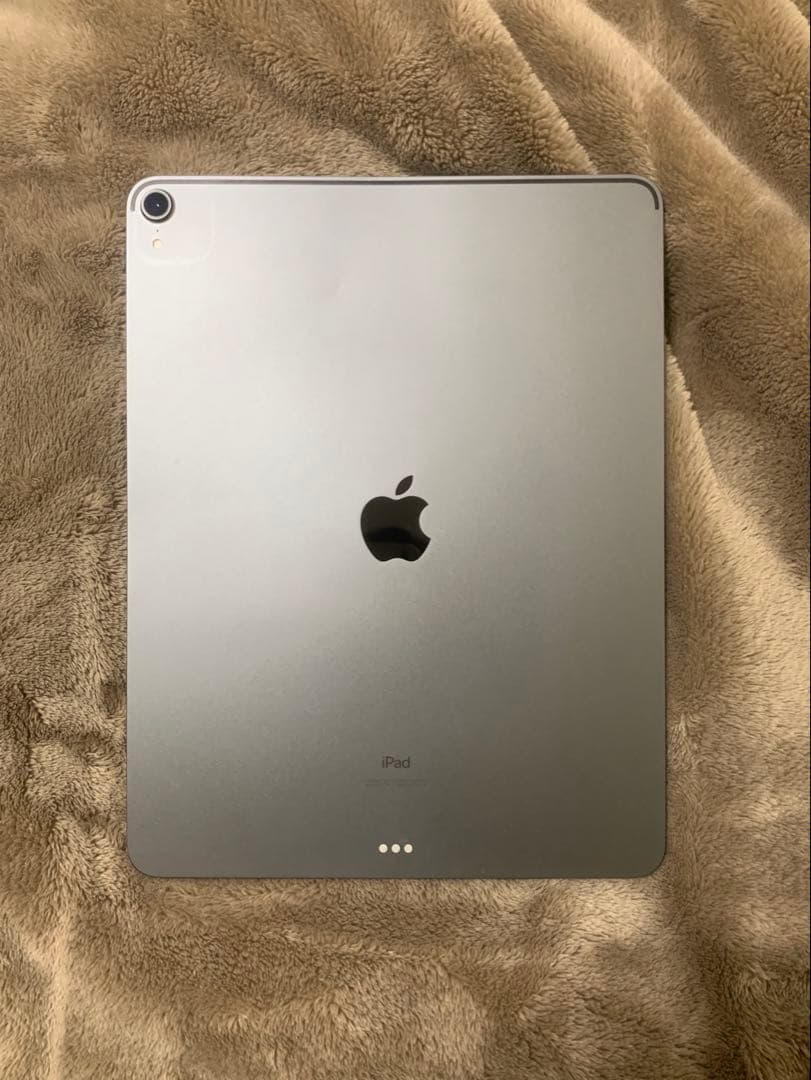 Apple iPad pro 第3世代 ペン+ペン先2個付き