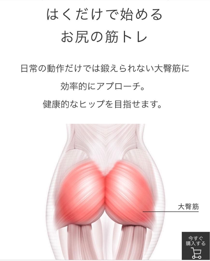 最終値引！シックスパッド　SIXPAD　ヒップフィット　Hip Fit Mサイズ