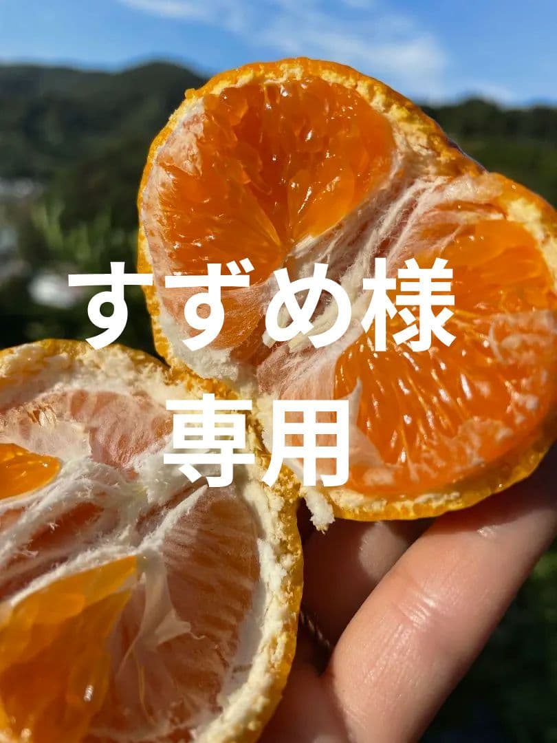 和歌山県由良町　ゆら早生　秀品10kg