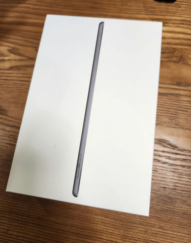 iPad mini 第5世代　本体　ジャンク品