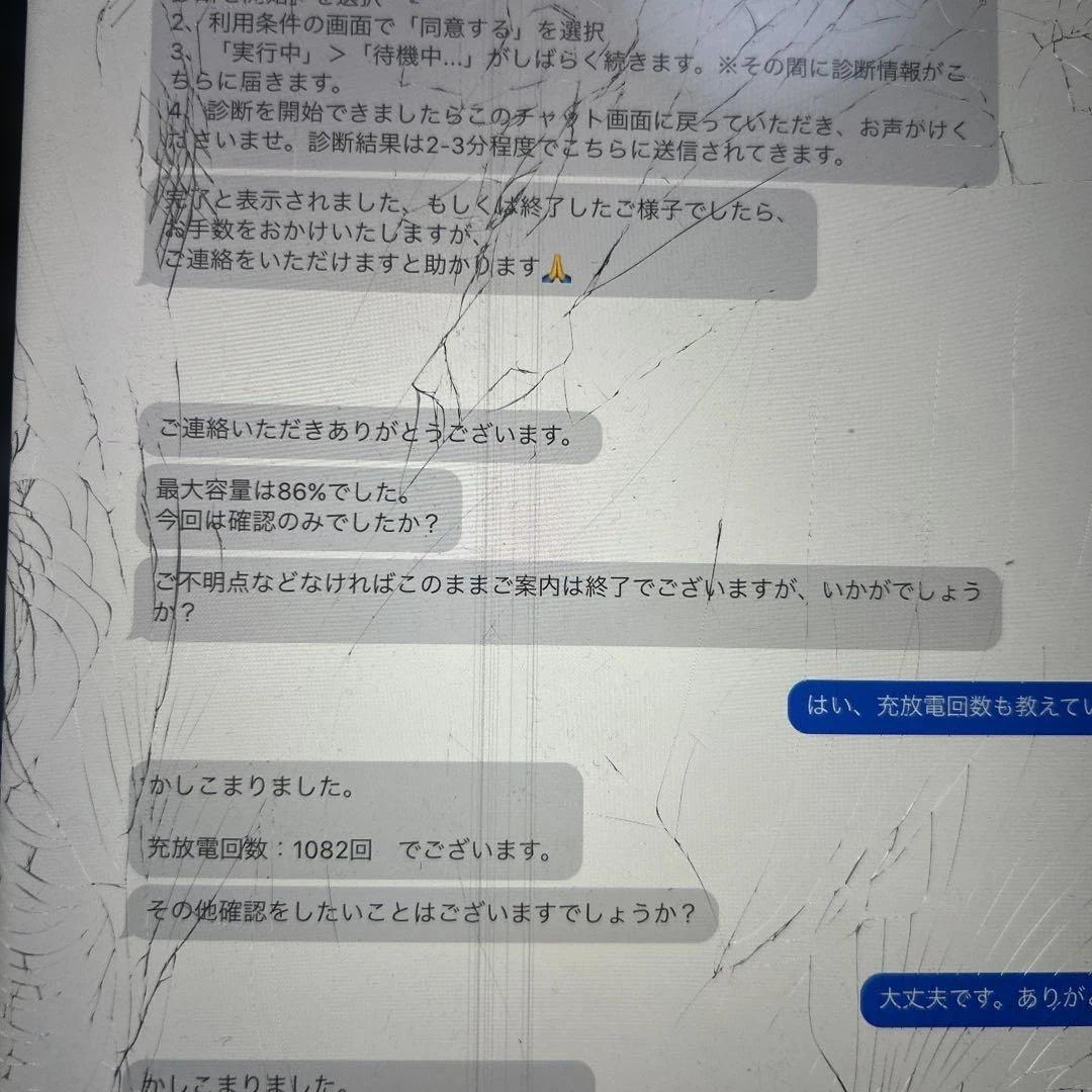 iPad Pro 11インチ　第1世代　Wi-Fi 256GB 割れあり