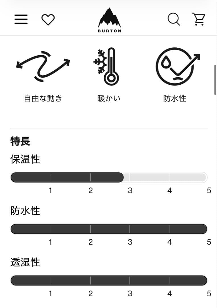 [BURTON ak] GORE-TEX EMBARKS ジャケット