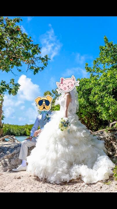 ウェディングドレス 2way プリンセスライン yns ミニドレス