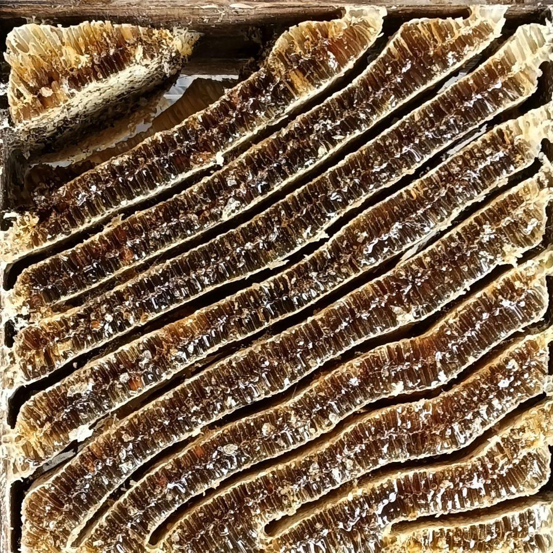 日本蜜蜂のはちみつ採れたて880g垂れ蜜