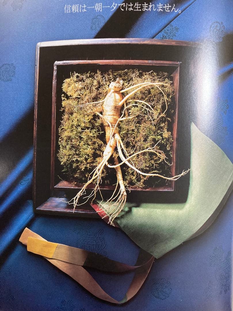 メッコール 麦コーラ韓国の人気飲料水250ml×120